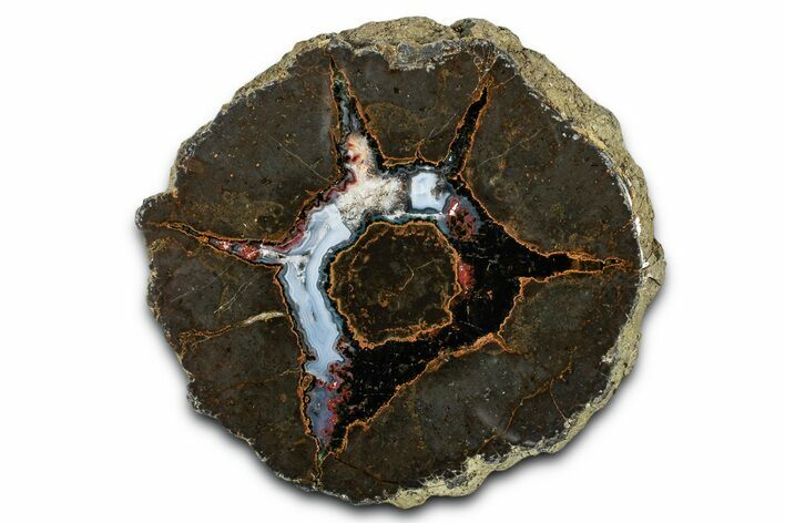 Colorful Polished Thunderegg Half - Nevada #337799